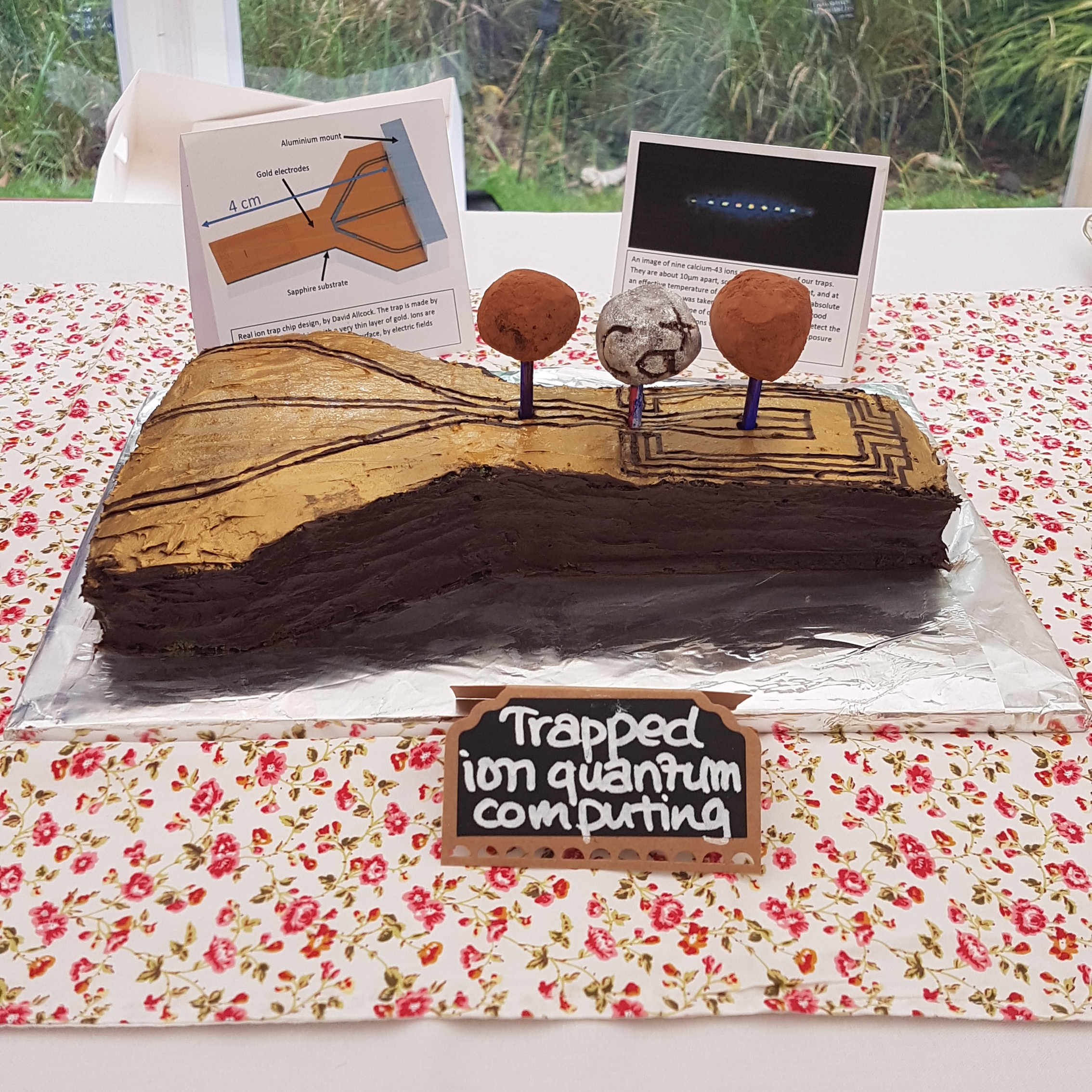 Amy Hughes' Trapped Ion Quantum Computing Cake!
